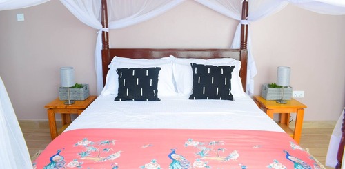 Comfortable Standard Room